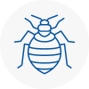Bed Bug Extermination In South Croydon