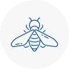 Bee Nest Removal South Croydon
