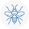 South Croydon Hornet Nest Removals