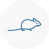 Mice Exterminators In South Croydon