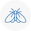 Moth Control Specialists In South Croydon