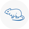 Rat Control South Croydon