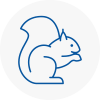 South Croydon Rodent Removals